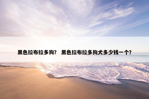 黑色拉布拉多狗？ 黑色拉布拉多狗犬多少钱一个？