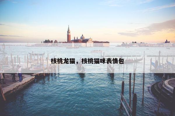 核桃龙猫，核桃猫咪表情包