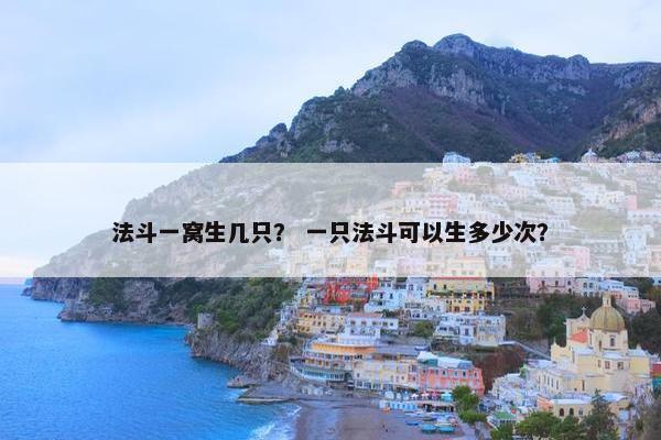 法斗一窝生几只？ 一只法斗可以生多少次？