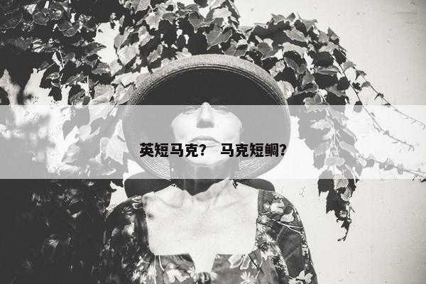 英短马克？ 马克短鲷？