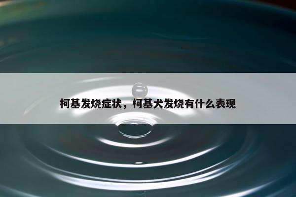 柯基发烧症状，柯基犬发烧有什么表现
