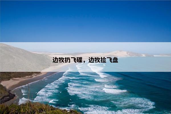 边牧扔飞碟，边牧捡飞盘