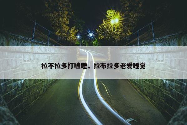 拉不拉多打瞌睡，拉布拉多老爱睡觉