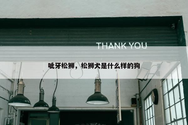 呲牙松狮，松狮犬是什么样的狗