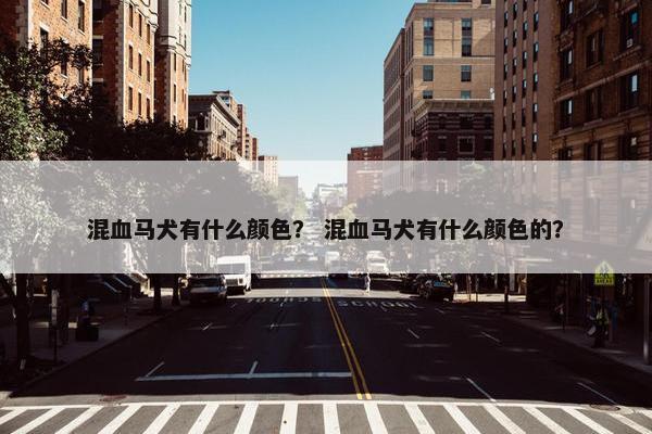 混血马犬有什么颜色？ 混血马犬有什么颜色的？