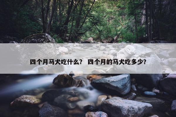 四个月马犬吃什么？ 四个月的马犬吃多少？