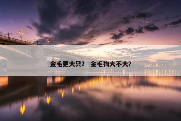 金毛更大只？ 金毛狗大不大？