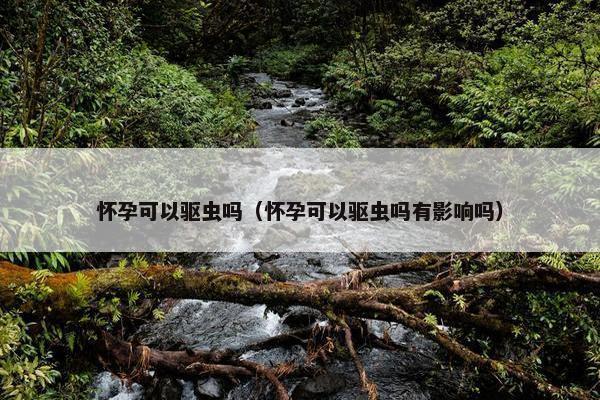 怀孕可以驱虫吗（怀孕可以驱虫吗有影响吗）