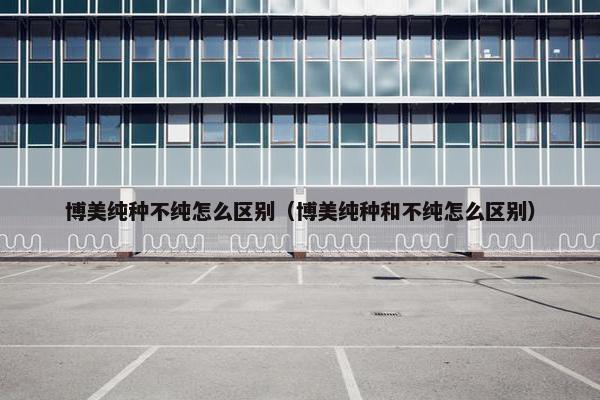 博美纯种不纯怎么区别（博美纯种和不纯怎么区别）
