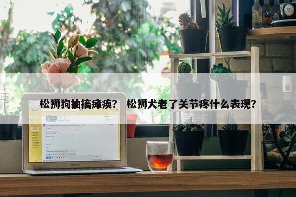 松狮狗抽搐瘫痪？ 松狮犬老了关节疼什么表现？