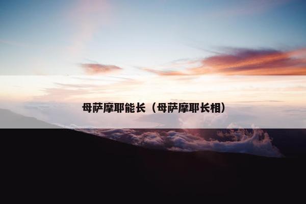 母萨摩耶能长（母萨摩耶长相）