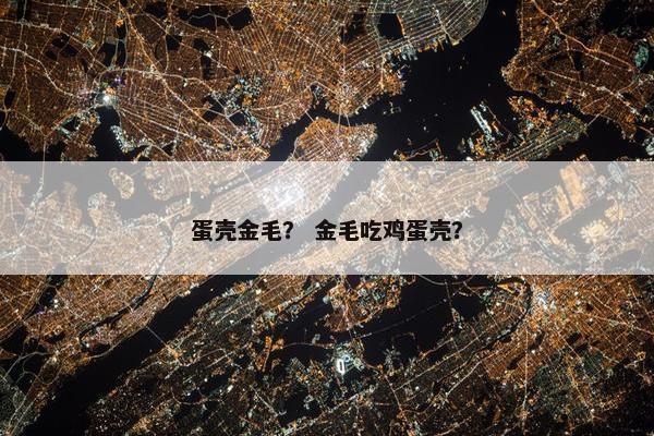 蛋壳金毛？ 金毛吃鸡蛋壳？