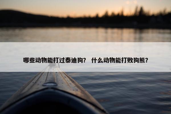 哪些动物能打过泰迪狗？ 什么动物能打败狗熊？