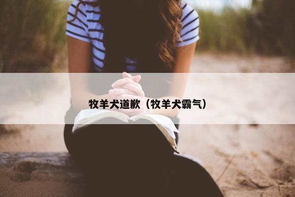牧羊犬道歉（牧羊犬霸气）