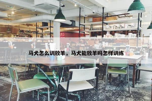 马犬怎么训放羊，马犬能放羊吗怎样训练