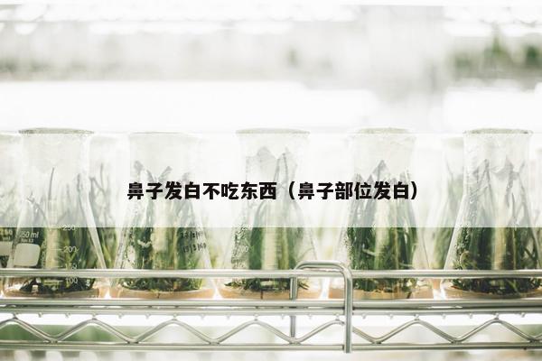 鼻子发白不吃东西（鼻子部位发白）