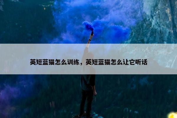 英短蓝猫怎么训练，英短蓝猫怎么让它听话