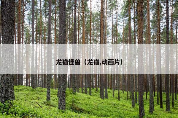 龙猫怪兽（龙猫,动画片）