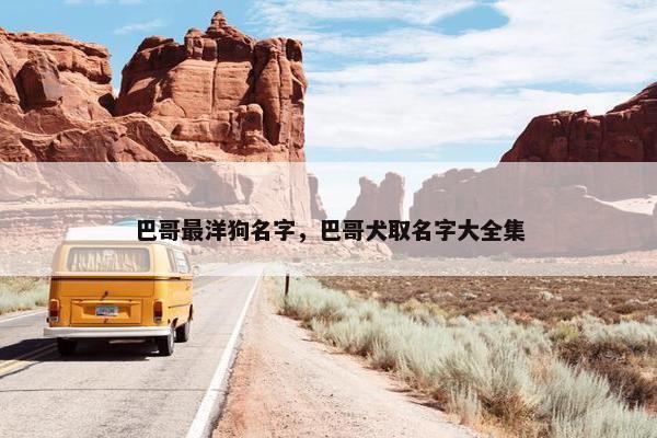 巴哥最洋狗名字，巴哥犬取名字大全集