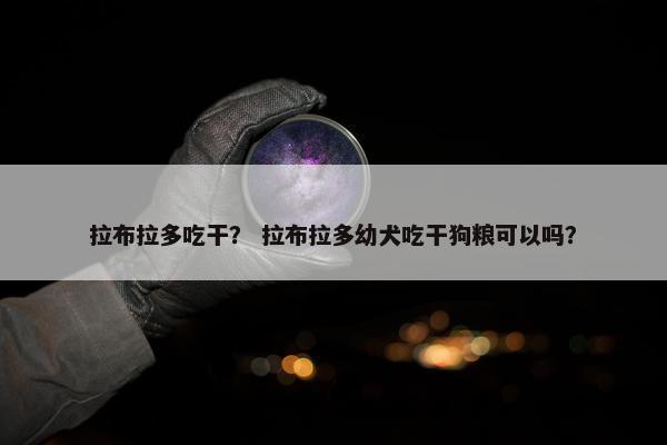 拉布拉多吃干？ 拉布拉多幼犬吃干狗粮可以吗？