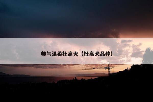 帅气温柔杜高犬（杜高犬品种）