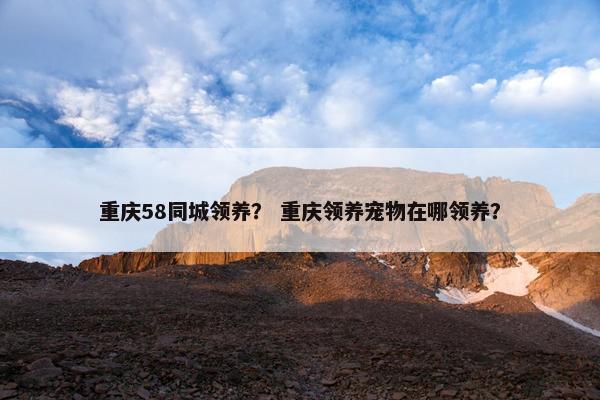 重庆58同城领养？ 重庆领养宠物在哪领养？