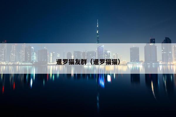 暹罗猫友群（暹罗猫猫）