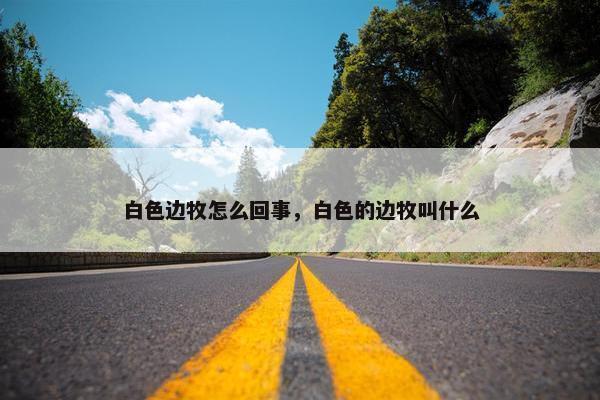 白色边牧怎么回事，白色的边牧叫什么