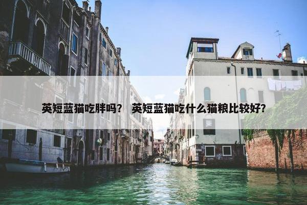 英短蓝猫吃胖吗？ 英短蓝猫吃什么猫粮比较好？