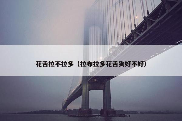 花舌拉不拉多（拉布拉多花舌狗好不好）