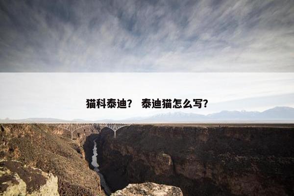 猫科泰迪？ 泰迪猫怎么写？