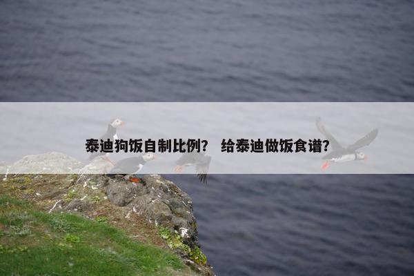 泰迪狗饭自制比例？ 给泰迪做饭食谱？