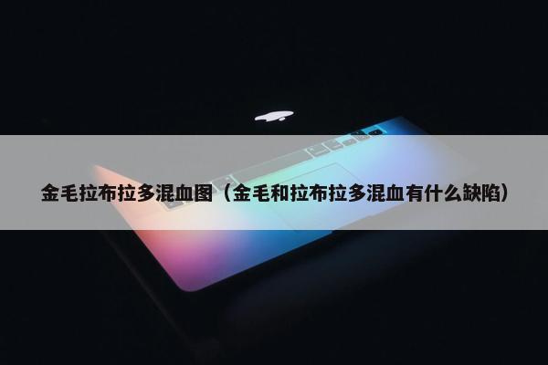 金毛拉布拉多混血图（金毛和拉布拉多混血有什么缺陷）