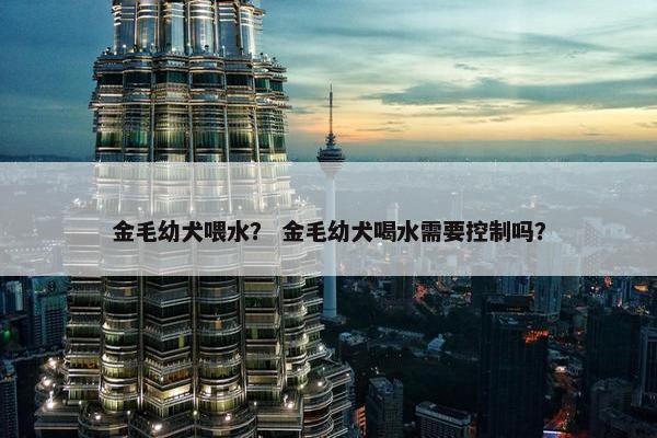 金毛幼犬喂水？ 金毛幼犬喝水需要控制吗？
