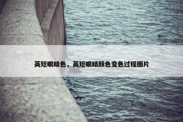英短眼睛色，英短眼睛颜色变色过程图片