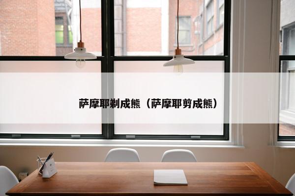 萨摩耶剃成熊（萨摩耶剪成熊）