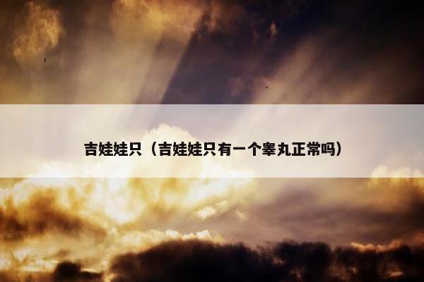 吉娃娃只（吉娃娃只有一个睾丸正常吗）