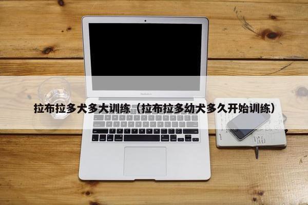 拉布拉多犬多大训练（拉布拉多幼犬多久开始训练）