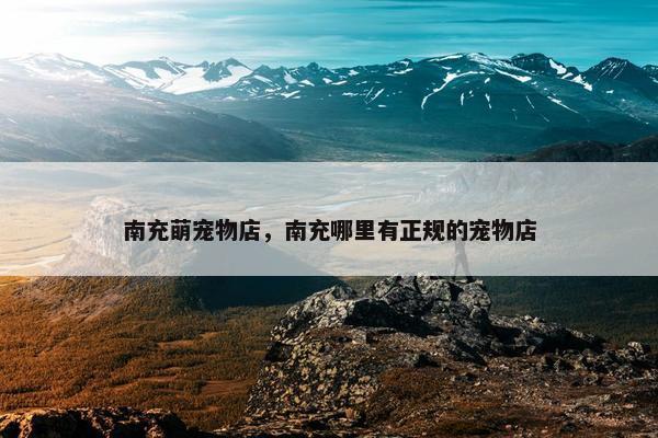 南充萌宠物店，南充哪里有正规的宠物店