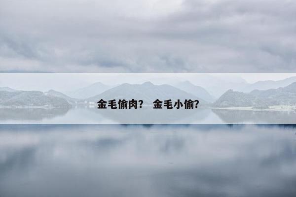 金毛偷肉？ 金毛小偷？