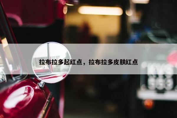 拉布拉多起红点，拉布拉多皮肤红点