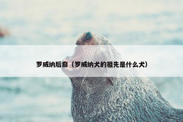 罗威纳后裔（罗威纳犬的祖先是什么犬）