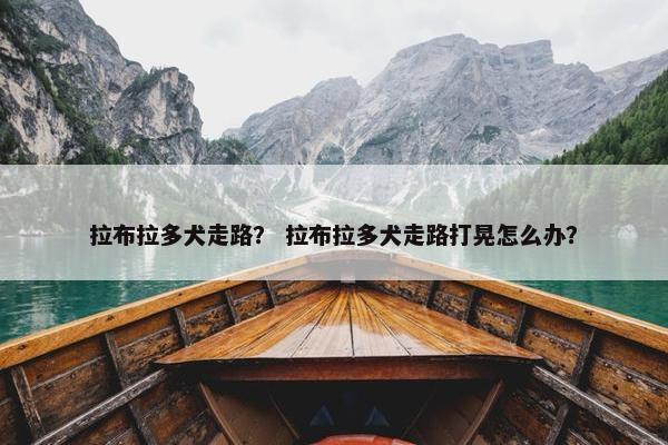 拉布拉多犬走路？ 拉布拉多犬走路打晃怎么办？