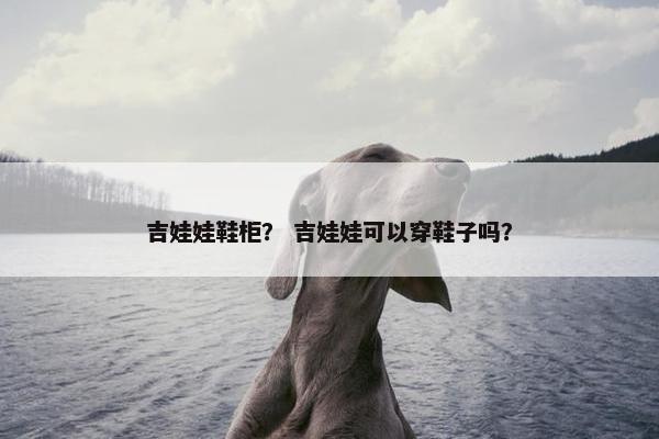 吉娃娃鞋柜？ 吉娃娃可以穿鞋子吗？