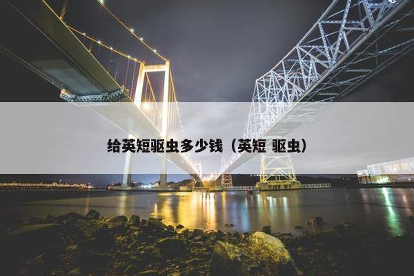 给英短驱虫多少钱（英短 驱虫）