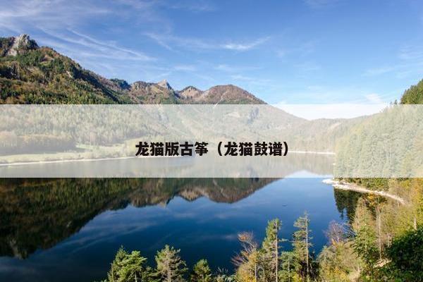 龙猫版古筝（龙猫鼓谱）