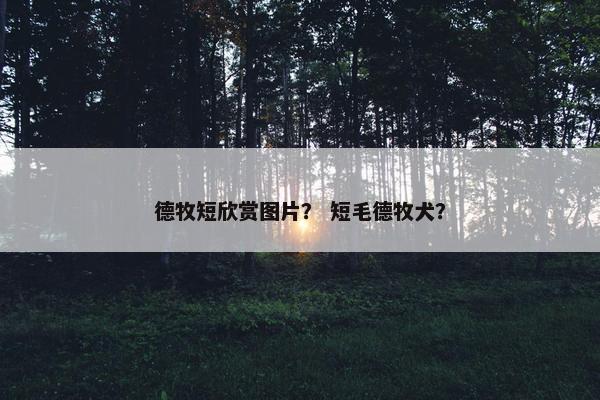德牧短欣赏图片？ 短毛德牧犬？