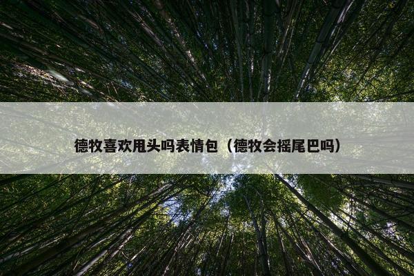 德牧喜欢甩头吗表情包（德牧会摇尾巴吗）