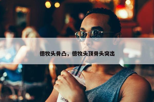 德牧头骨凸，德牧头顶骨头突出