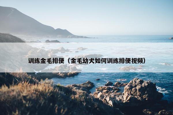 训练金毛排便（金毛幼犬如何训练排便视频）